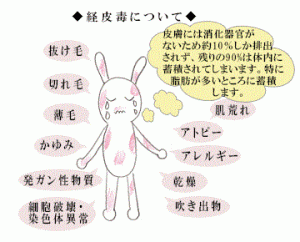 経皮毒