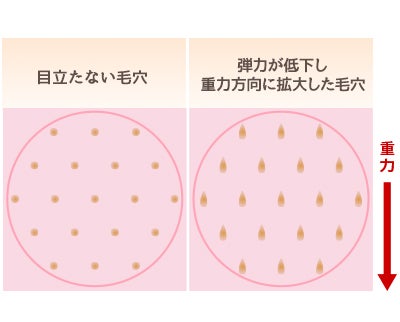 ミトコンドリア活性化で肌のハリアップ！
