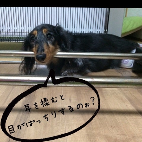 耳をマッサージして目元ぱっちり！