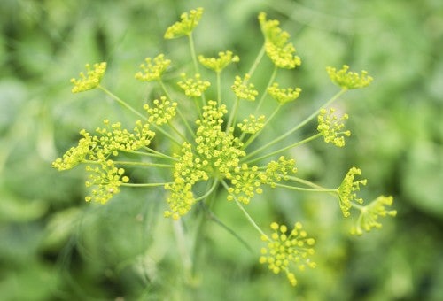 リニューアル後のご感想