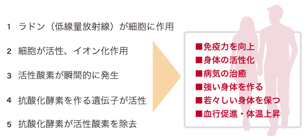 リンパとは？血液とリンパの違い