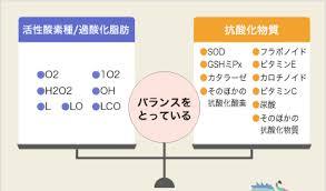 ホルミシスマッサージクリーム　オーガニック化粧品