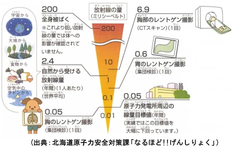 放射線が悪いと言われている原因とは？ホルミシス効果